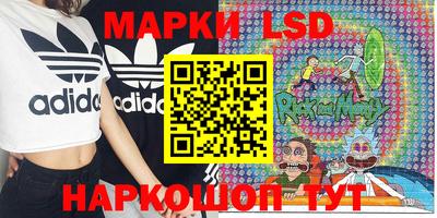 индика Будённовск
