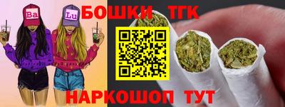 индика Будённовск