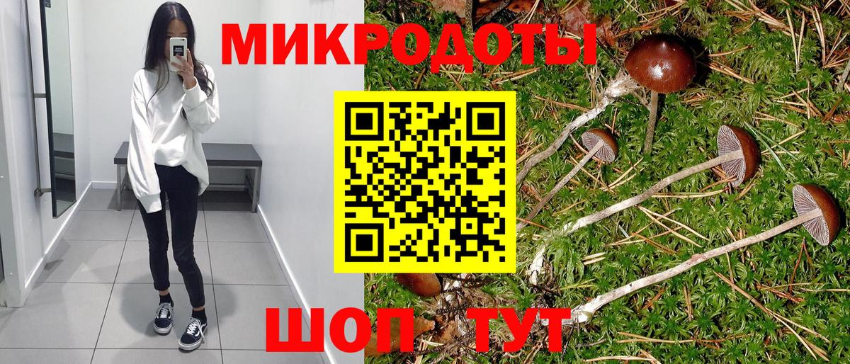 Галлюциногенные грибы прущие грибы  продажа наркотиков  Зеленогорск  Псилоцибиновые грибы мухоморы  Вход с VPN 